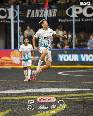 Image post by @stlouisambush on Instagram