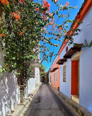 Image post by @vamospuesandres on Instagram