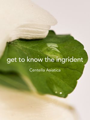 Image post by @haruharuwonder_official on Instagram