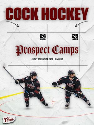 Image post by @cockhockey on Instagram