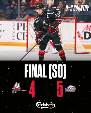 Image post by @ohlicedogs on Instagram