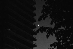 Image post by @mtl_unscripted on Instagram