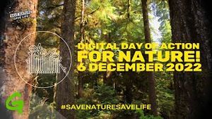 Video post by @greenpeace on YouTube
