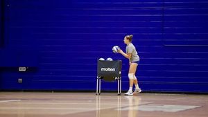 Image post by @hofstravb on Instagram