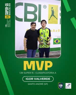 Image post by @basquetebrasil on Instagram