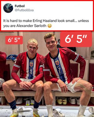Video post by @whistle on TikTok