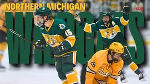 Video post by @everythingcollegehockey on YouTube