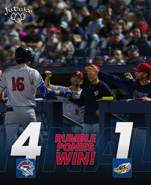 Image post by @rumbleponiesbb on Instagram