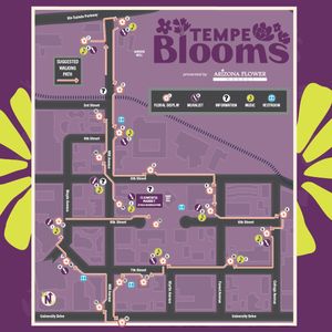 Image post by @downtowntempe on Instagram