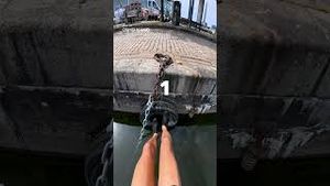 Video post by @dji on YouTube