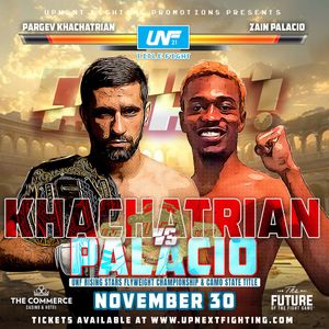 Image post by @UpNextFighting on Twitter