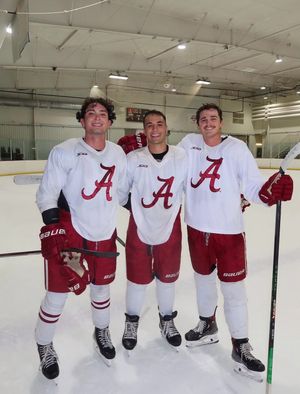 Image post by @alabamahockeyd3 on Instagram