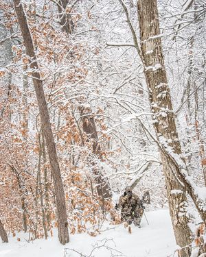 Image post by @realtreeoutdoors on Instagram