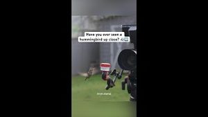 Video post by @YouTube on YouTube