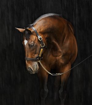 Image post by @juddmonte on Instagram