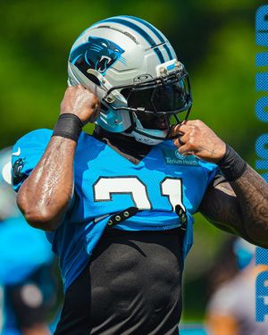 Image post by @panthers on Instagram