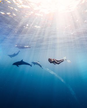 Image post by @gopro on Instagram