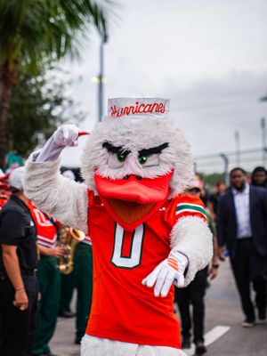 Image post by @um_sebastian on Instagram