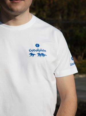 Image post by @godolphin on Instagram