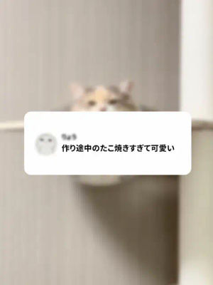 Image post by @tiktokjapan on TikTok