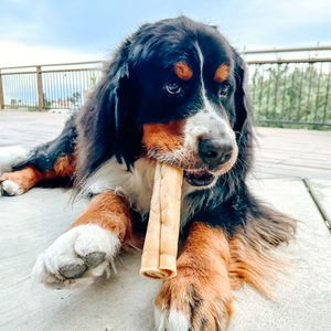 Image post by @honeyimhome on Instagram