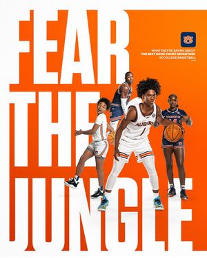 Image post by @auburnwbb on Instagram