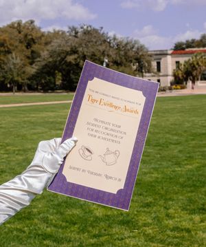 Image post by @lsucampuslife on Instagram