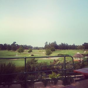 Image post by @jjsenekalgolf on Instagram