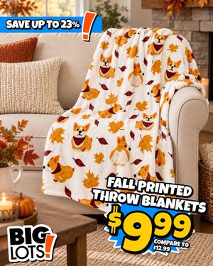 Image post by @biglots on Instagram