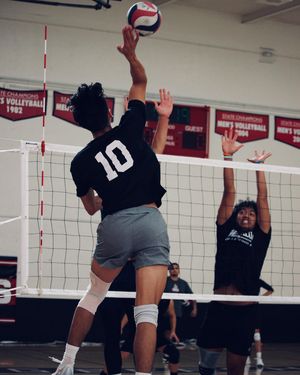 Image post by @lbccmvb on Instagram