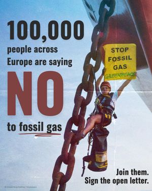 Image post by @greenpeace on Instagram