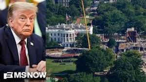 Video post by @msnbc on YouTube
