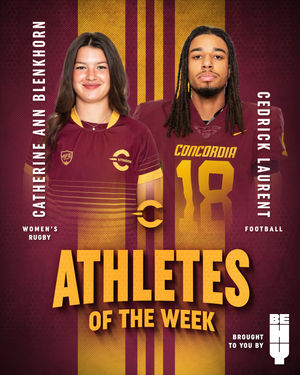 Image post by @the_stingers on Instagram