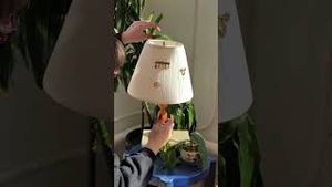 Video post by @etsy on YouTube