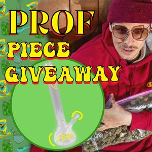 Image post by @profgampo on Instagram