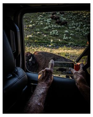 Image post by @izaaks_images on Instagram