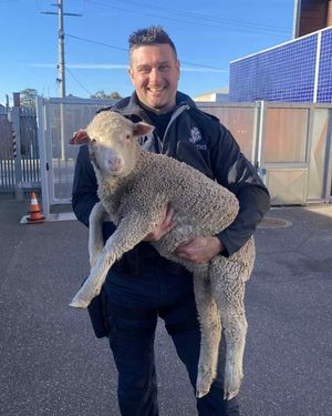 Image post by @victoriapolice on Instagram