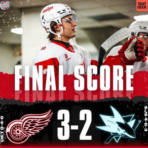 Image post by @redwingscoverage on Instagram