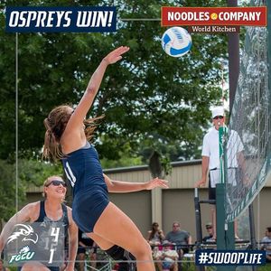 Image post by @unfospreys on Instagram