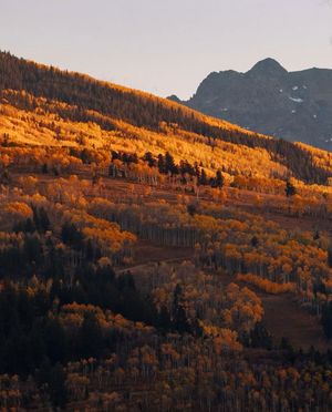 Image post by @sienavalleyclub on Instagram