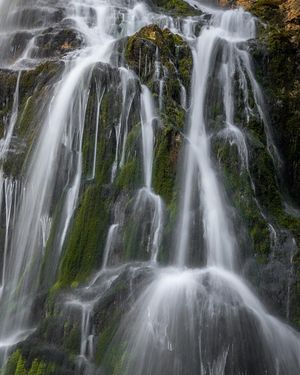 Image post by @cristan.nature.photography on Instagram