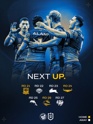 Image post by @theparraeels on Instagram