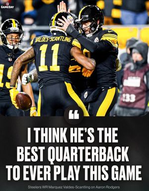 Image post by @steelersfans7 on Instagram