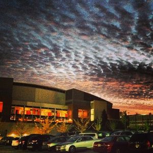 Image post by @marylandterrapins on Instagram