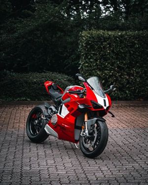 Image post by @panigalers on Instagram