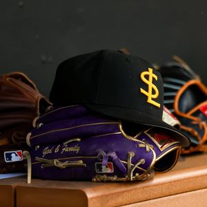 Image post by @saltlakebees on Instagram