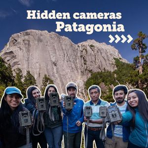 Image post by @rewild on Instagram