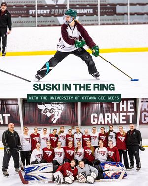 Image post by @pwhl_fleet on Instagram