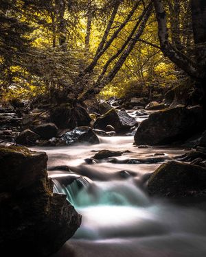 Image post by @jaumeboldu on Instagram