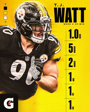 Image post by @steelers on Instagram